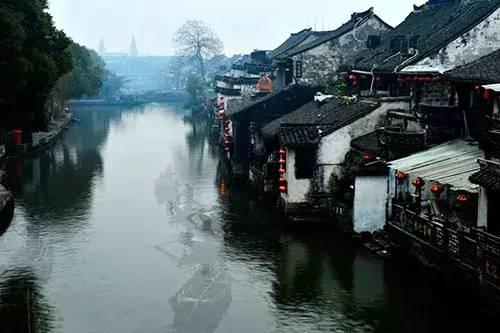 诱捕小浣熊